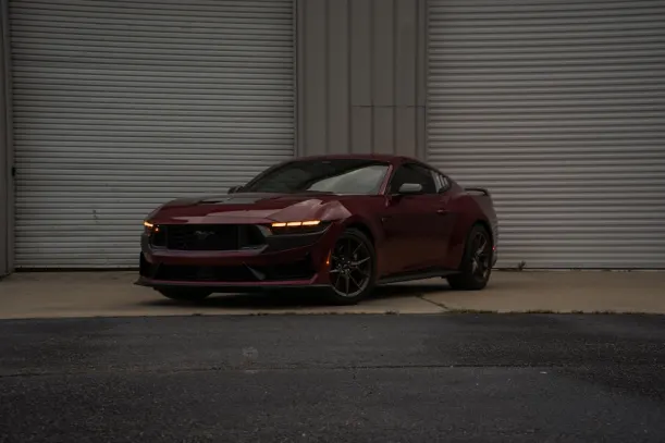 BlueLeo Casino App Android/iOS